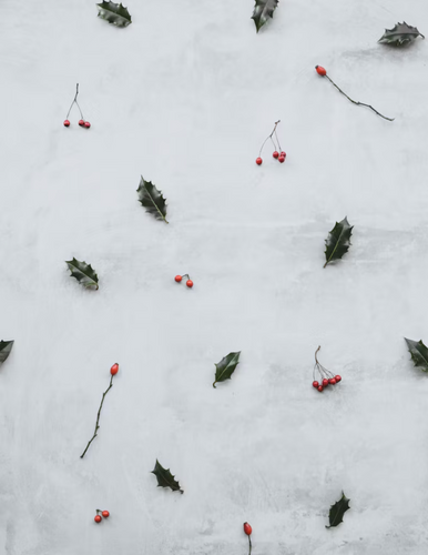 El Verdadero Significado de la Navidad: Reflexiones y Consejos para unas Fiestas Saludables