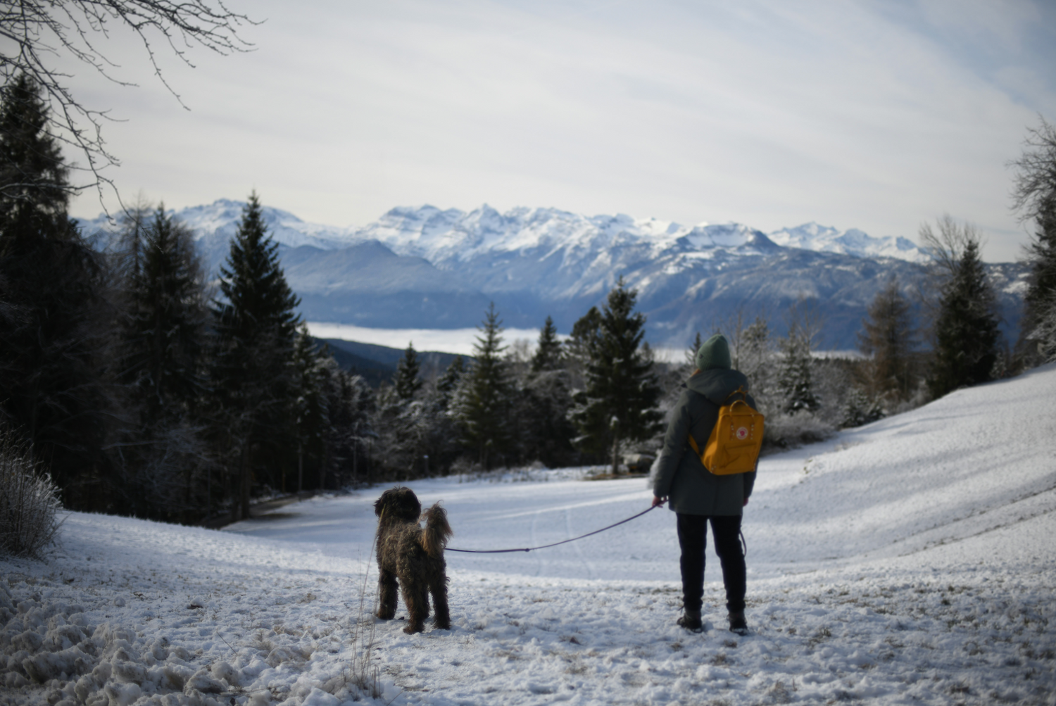 Enero con energía. Empieza el año ligera y llena de energía