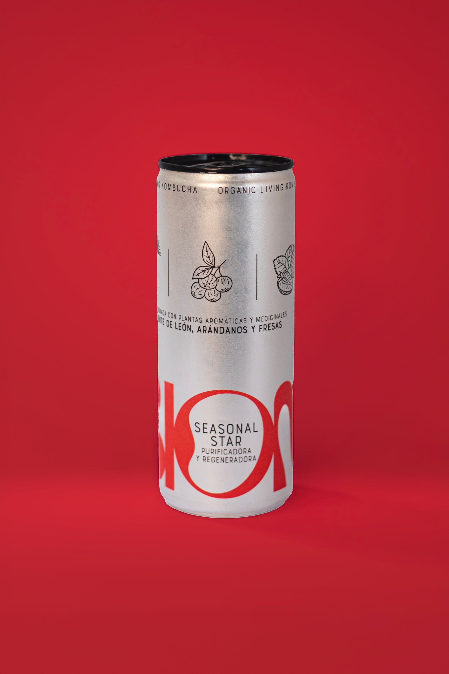 Berry Bloom: Seasonal Star Kombucha de temporada (12 latas)